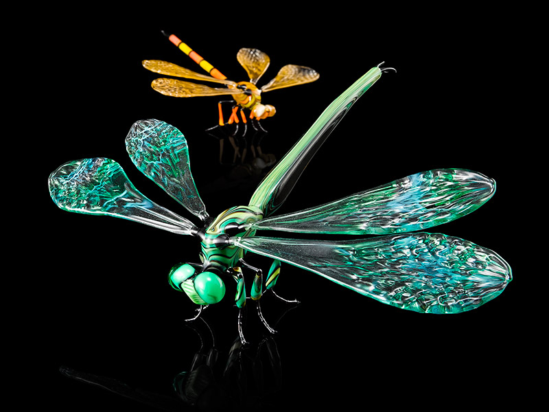 Two Dragonflies, glass dragonfly by Wesley Fleming