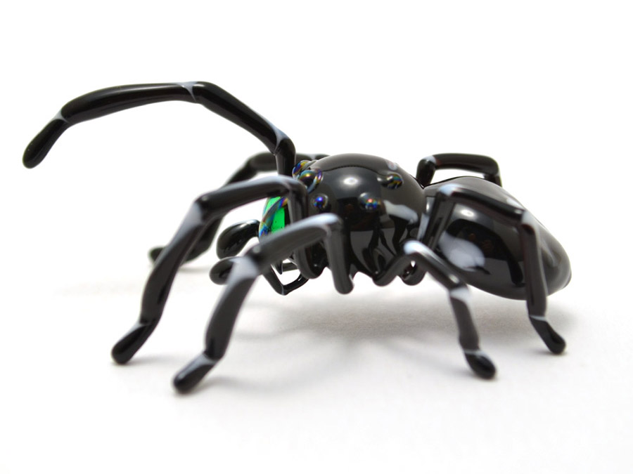 Bold Jumping Spider, glass arachnid by Wesley Fleming