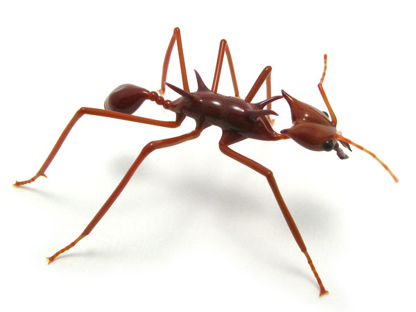 leafcutter ant made as gift for E.O. Wilson, presented April 10, 2009, glass bug by Wesley Fleming