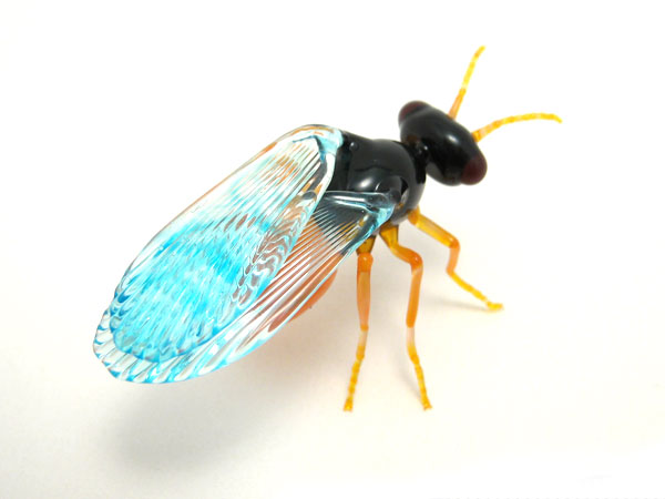 Encarsia formosa - parasitic wasp, glass insect by Wesley Fleming