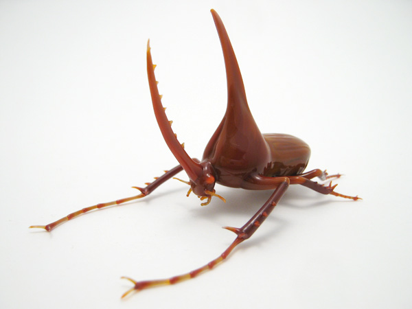 Golofa porteri hope, glass beetle by Wesley Fleming