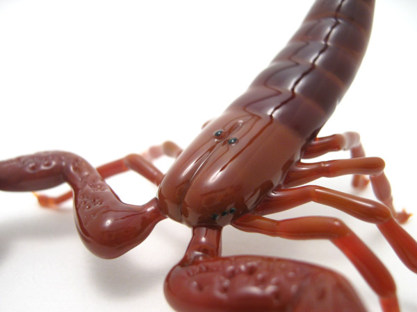 African Burrowing Scorpion, glass arachnid by Wesley Fleming