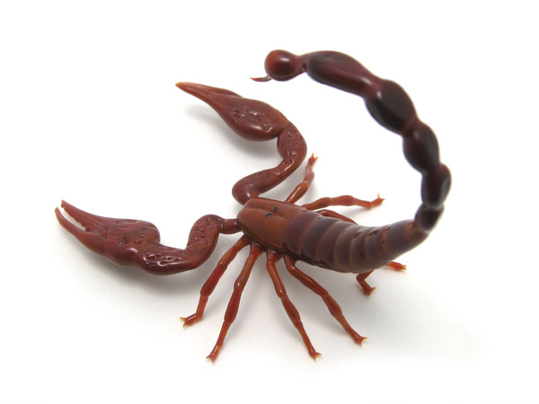 African Burrowing Scorpion, glass scorpion by Wesley Fleming