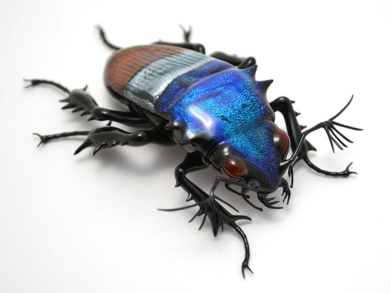 ITEM_NAME, glass beetle by Wesley Fleming