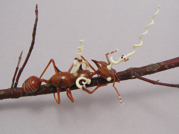Leafcutter Ant Infected with Cordyceps Fungus, glass insect by Wesley Fleming
