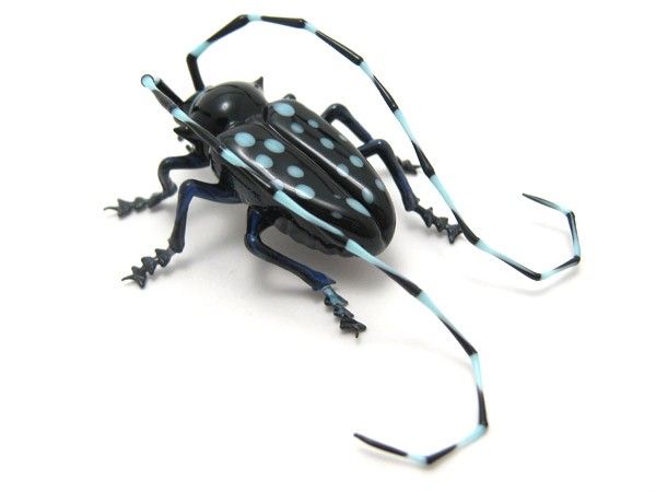 Asian Longhorn Beetle, glass insect by Wesley Fleming