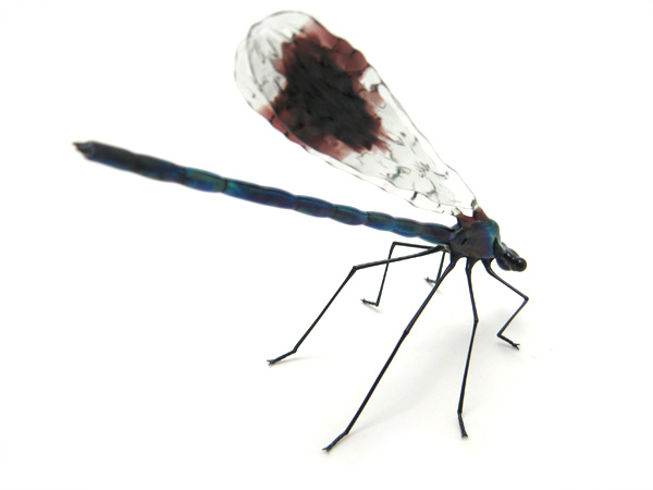 Banded Demoiselle, glass bug by Wesley Fleming