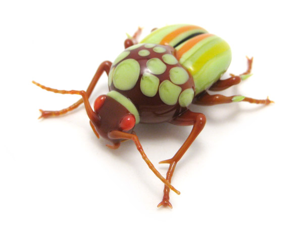 Striped Beetle, glass beetle by Wesley Fleming