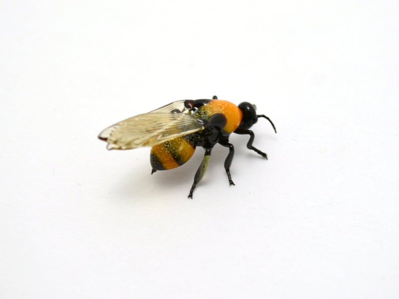 Bumblebee, glass bumblebee by Wesley Fleming
