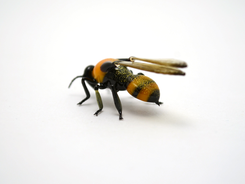 Bumblebee, glass bug by Wesley Fleming