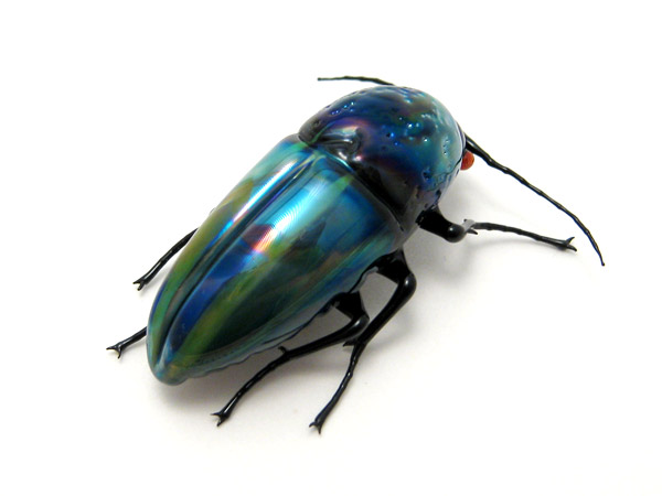 Blue Buprestid Beetle, glass insect by Wesley Fleming