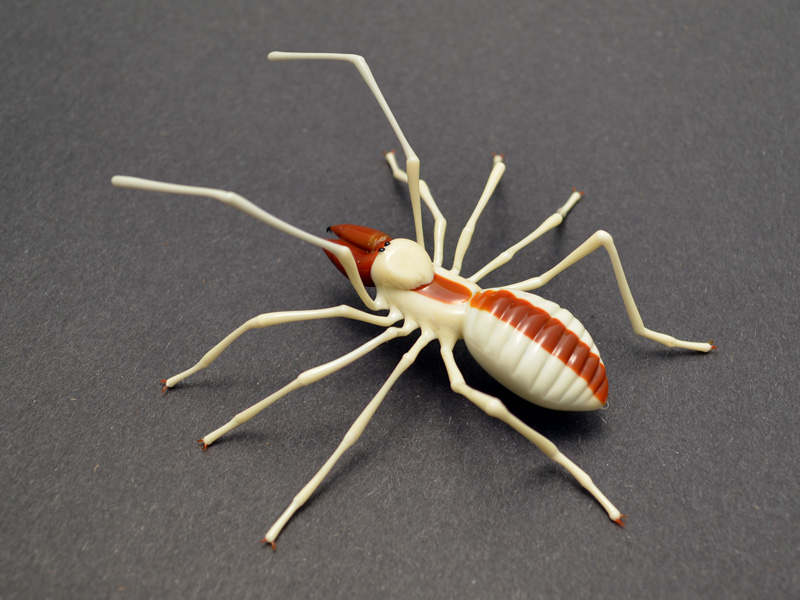 Camel Spider, glass wasp by Wesley Fleming