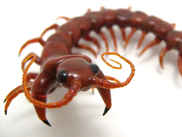 Centipede (the second!), glass bug by Wesley Fleming
