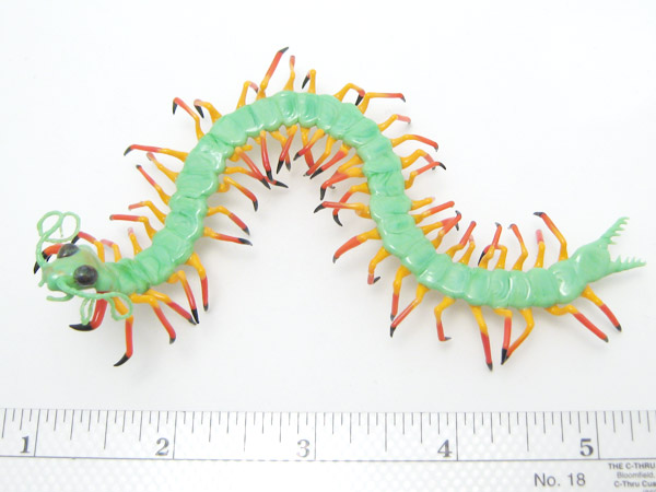 Citrus Stalker Centipede, glass chilipoda by Wesley Fleming