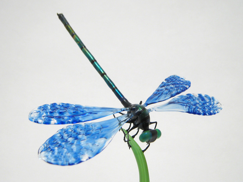 Dragonfly Resting on a Blade of Grass, glass vignette by Wesley Fleming