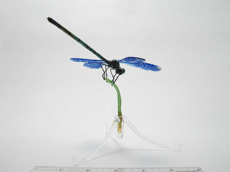 Dragonfly Resting on a Blade of Grass, glass insect by Wesley Fleming