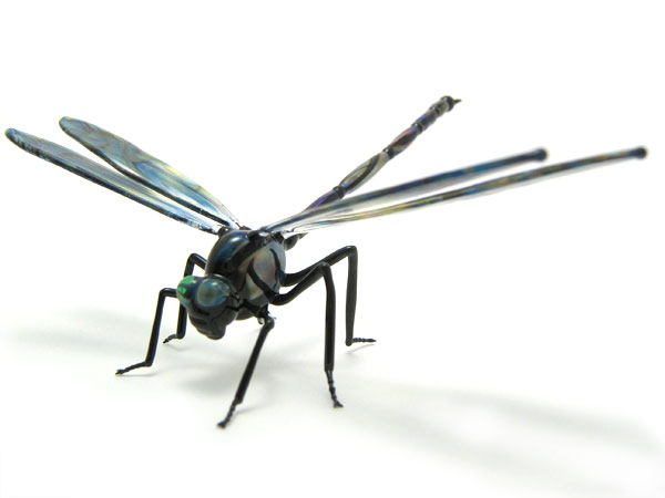 Dragonfly, glass dragonfly by Wesley Fleming