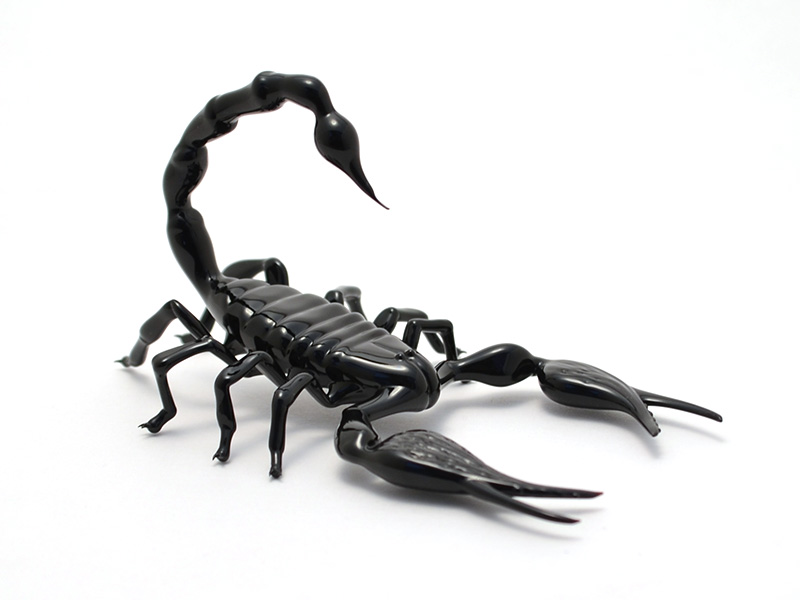 Emperor Scorpion, glass scorpion by Wesley Fleming