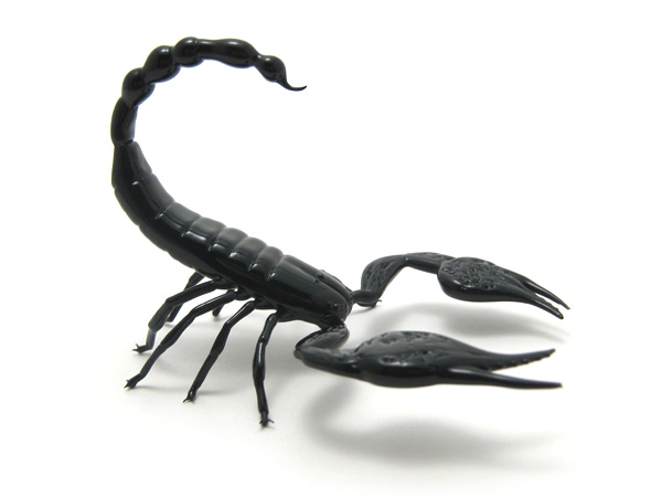Emperor Scorpion, glass bug by Wesley Fleming