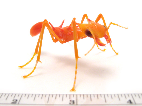 Fire Ant, glass fire ant by Wesley Fleming