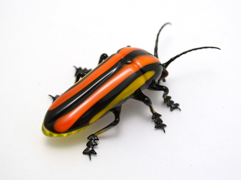 Lightning Bug, glass beetle by Wesley Fleming