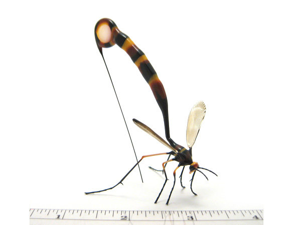 Giant Ichneumon Wasp, glass wasp by Wesley Fleming
