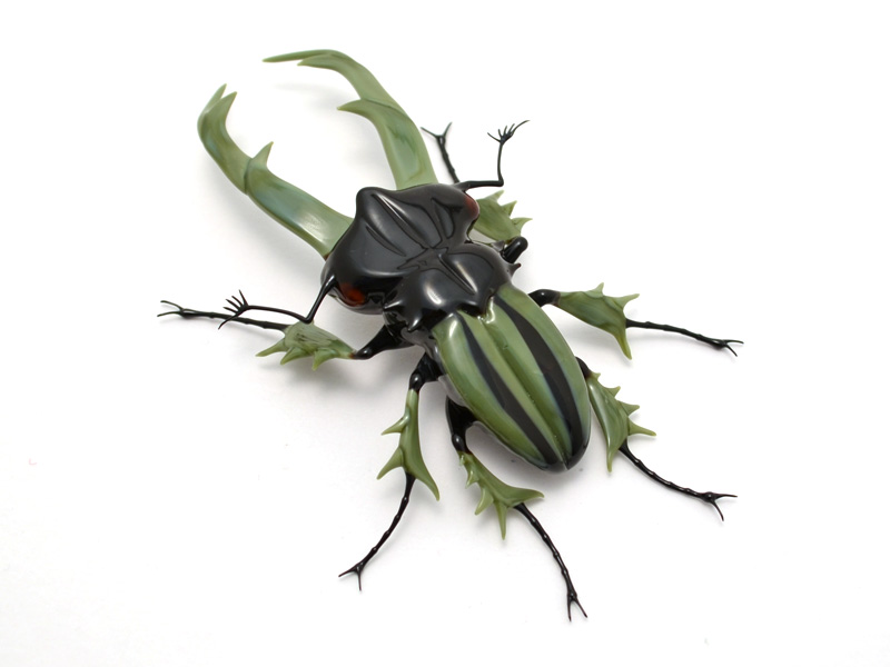 Giant Stag Beetle, glass beetle by Wesley Fleming
