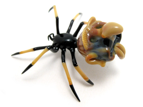 Goblin-Backed Crab spider, glass bug by Wesley Fleming