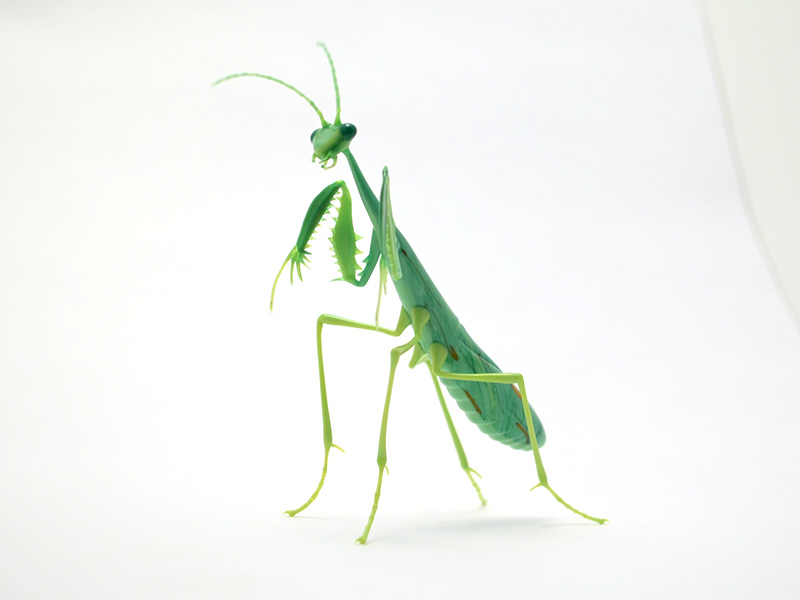 Green Mantis, glass mantis by Wesley Fleming