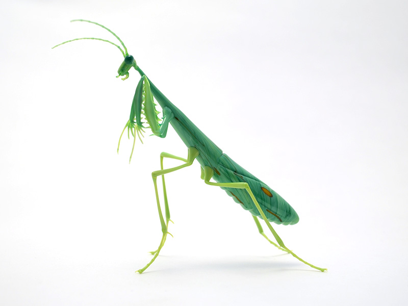Green Mantis, glass praying mantis by Wesley Fleming