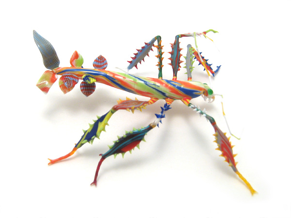 Harlequin Stick Bug, glass insect by Wesley Fleming