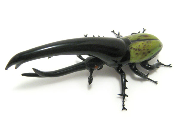 Hercules Beetle, glass insect by Wesley Fleming
