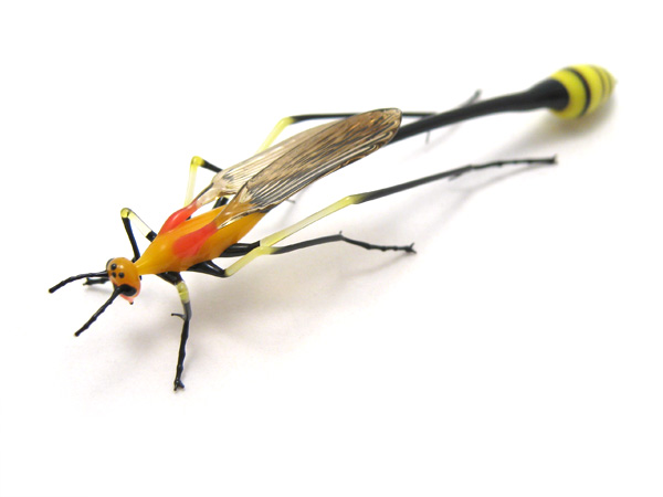 Ichneumon Wasp, glass insect by Wesley Fleming