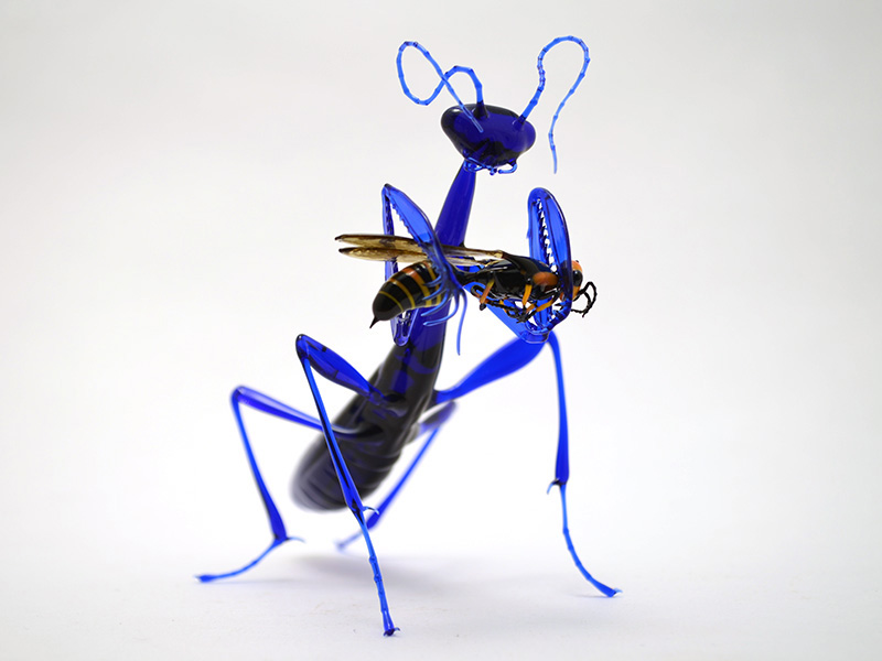 Indigo Mantis Eating Wasp, glass mantis by Wesley Fleming