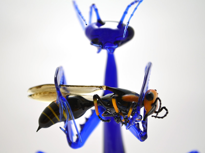 Indigo Mantis Eating Wasp, glass wasp by Wesley Fleming