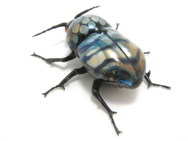 Iridescent Chafer Beetle, glass beetle by Wesley Fleming