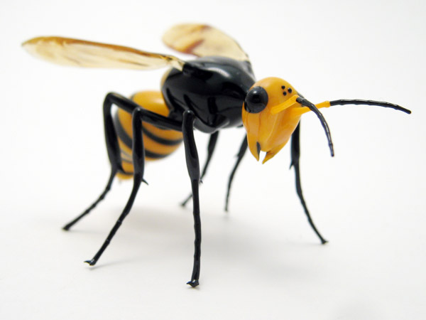 Japanese Hornet, glass wasp by Wesley Fleming