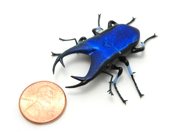 Cobalt Jewel Stag Beetle, glass coleoptera by Wesley Fleming