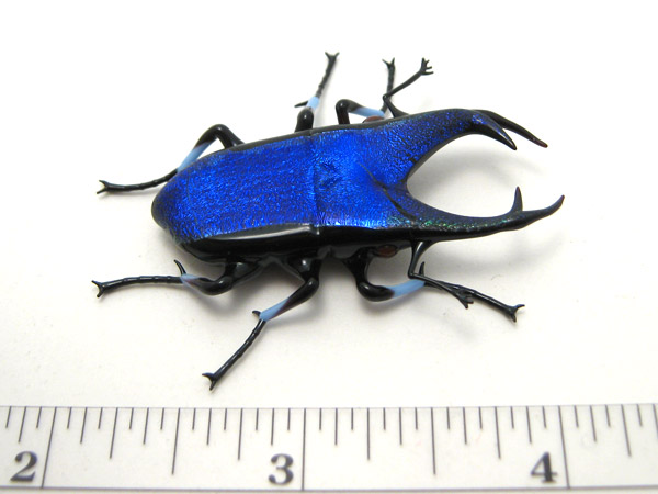 Cobalt Jewel Stag Beetle, glass bug by Wesley Fleming