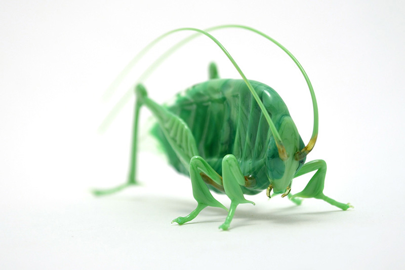 Katydid, glass katydid by Wesley Fleming