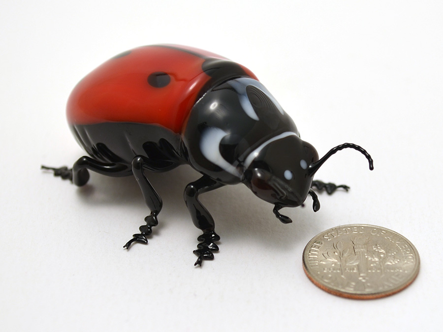 Ladybug Beetle, glass beetle by Wesley Fleming