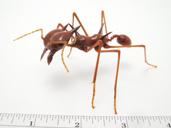 Leafcutter Ant for Q, glass leafcutter ant by Wesley Fleming