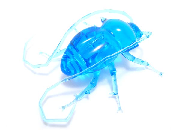 Transparent Longhorn Beetle, glass bug by Wesley Fleming