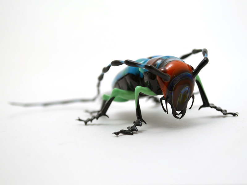 Longhorn Beetle, glass insect by Wesley Fleming