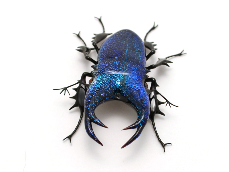 Cobalt Stag Jewel Beetle, glass cobalt stag by Wesley Fleming