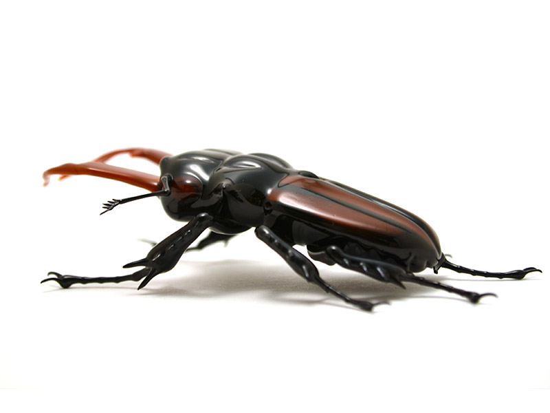 Lucanus cervus - stag beetle, glass bug by Wesley Fleming