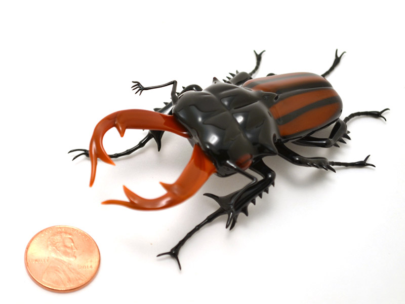 Lucanus cervus - stag beetle, glass beetle by Wesley Fleming