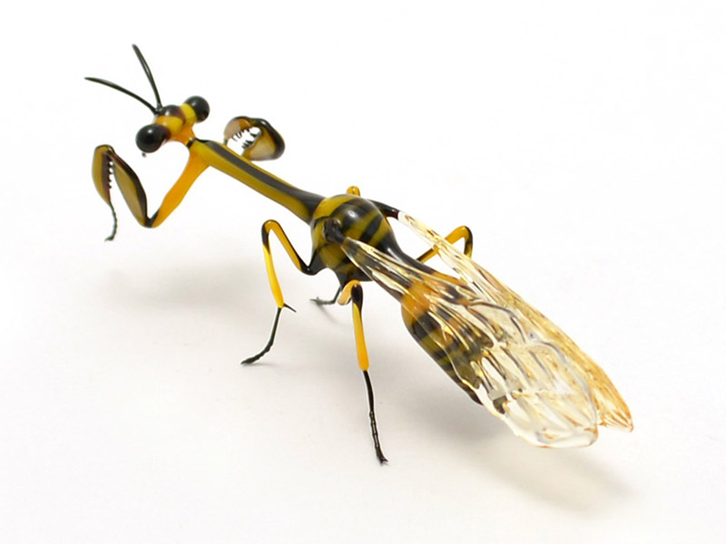 Wasp-Mimic Mantidfly, glass mantis by Wesley Fleming