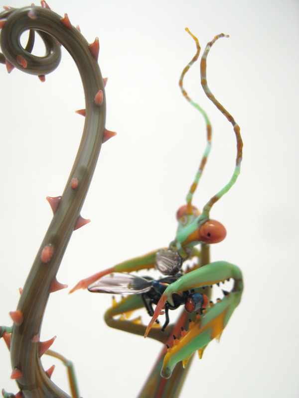 Mantis Eating a Fly, glass art by Wesley Fleming