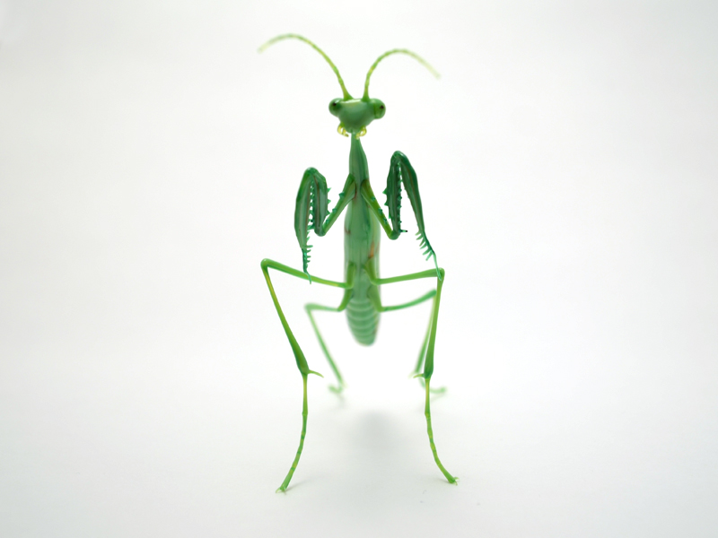 Preying Mantis, glass mantis by Wesley Fleming